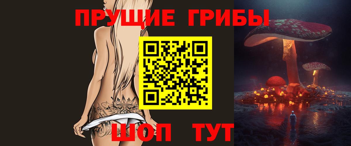 Бор  Псилоцибиновые грибы Psilocybe  Вход с VPN 